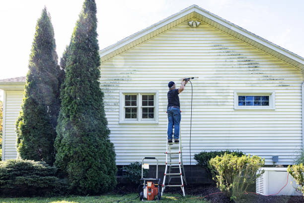 Animal Enclosure Cleaning in Wytheville, VA